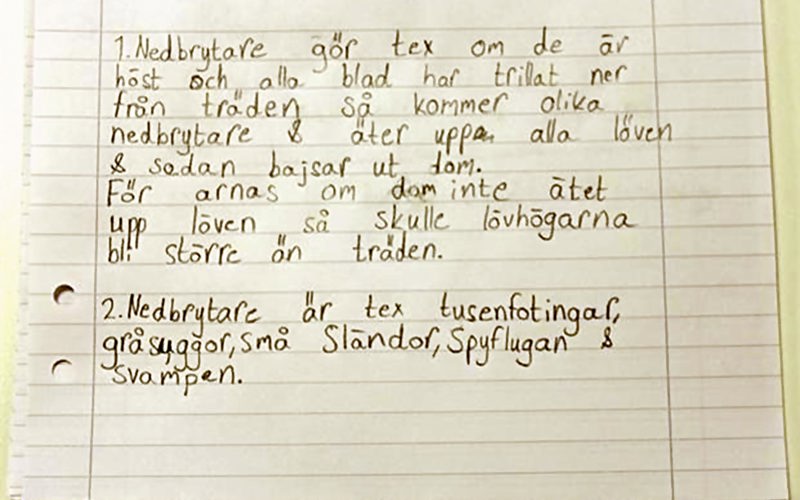 En elevs handskrivna anteckningar på ett linjerat papper.
