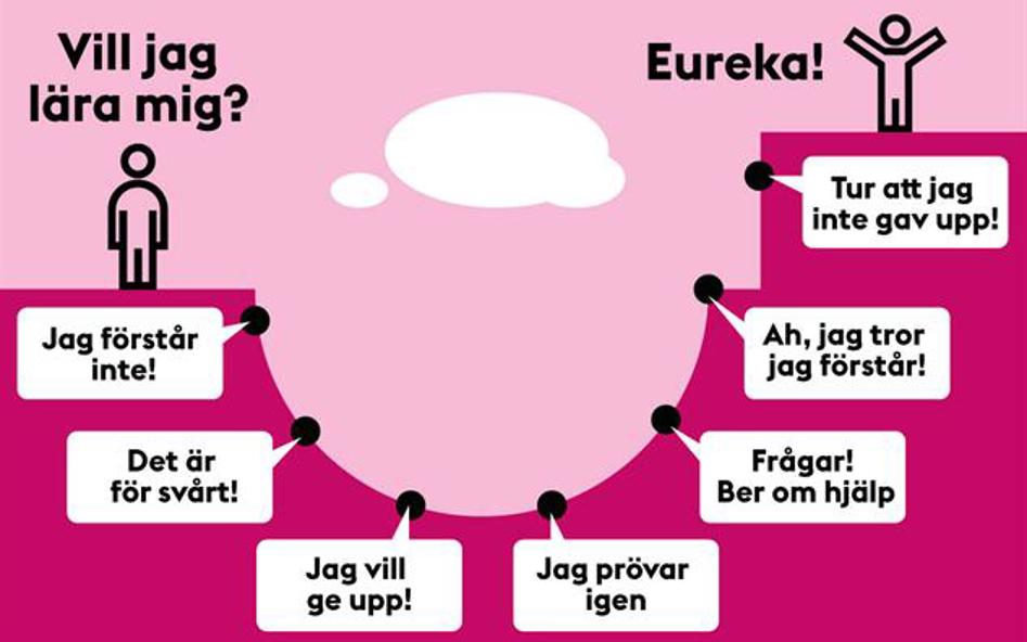 Illustration som visar olika skeden i processen från att man vill lära sig något till förståelse.