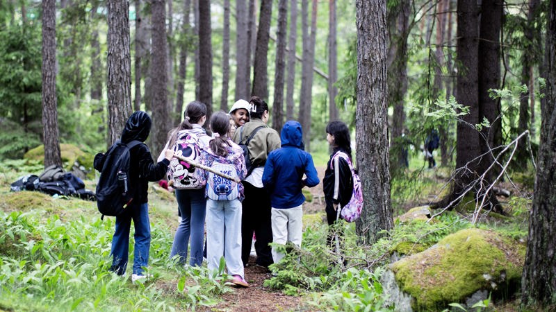 Elever stor runt sin lärare i skogen.