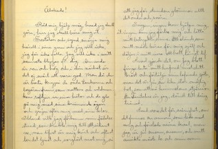En gammal bok med vacker handskriven skrift. Bilden visar Fritiof Englunds dagbok.