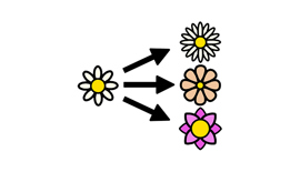 Illustration med en blomma i mitten och tre pilar som pekar på tre blommor.