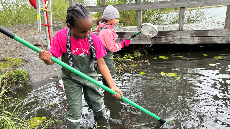 Två flickor med vadarbyxor med håvar i vattnet bredvid en brygga.
