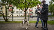 Tonårstjej rastar en hund i en hundrastgård i sällskap av en vuxen kvinna.