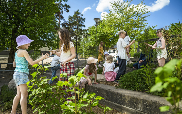 Skolelever leker på en grönskande skolgård.