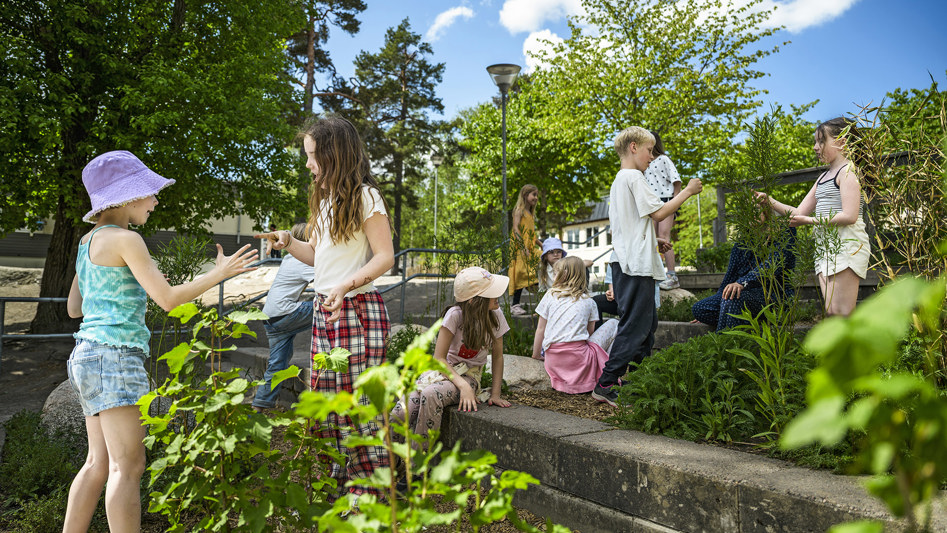 Skolelever leker på en grönskande skolgård.