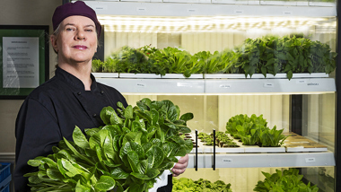 En person står intill ett odlingsskåp och håller i ett tråg med sallad.